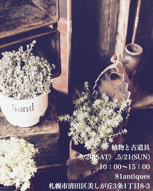 81『植物と古物』